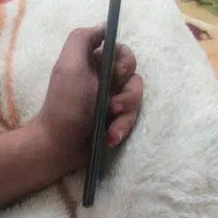 نوت ۱۰ پرو|موبایل|کرمانشاه, |دیوار