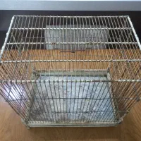 قفس قدیمی سهره