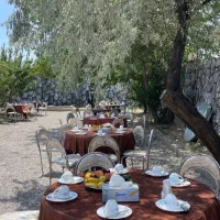 اجاره روزانه باغ تالار مراسم|اجارهٔ کوتاهمدت ویلا و باغ|خسروشاه, |دیوار