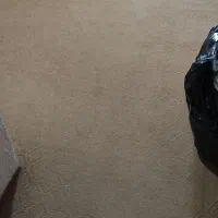 موکت