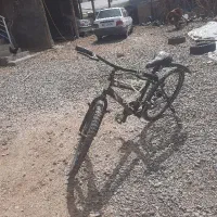 الشتر