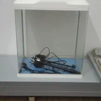 آکواریوم کوچک