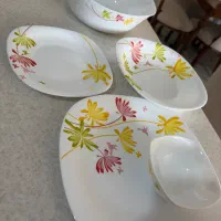 سرویس ارکوپال و شیشه ای