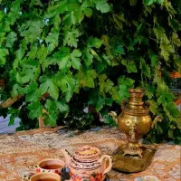 اقامتگاه بوم گردی انارستون|اجارهٔ کوتاهمدت آپارتمان و سوئیت|فردوس (خراسان), |دیوار