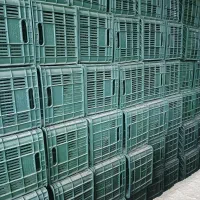 سبد ۲۰ کیلویی