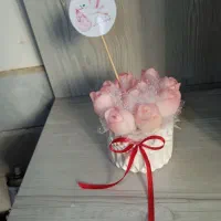 مینی باکس نوزاد