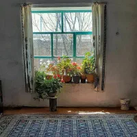 کنار هم باشیم تا درامد برسیم