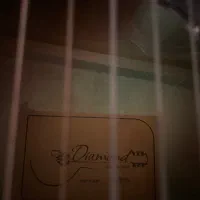 گیتار کلاسیک دیاموند|گیتار، بیس، امپلیفایر|دورود, |دیوار