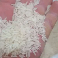 سلام برنج فجر90روزه ضمانتی اززمین خودمون هستش|خوردنی و آشامیدنی|آق قلا, |دیوار