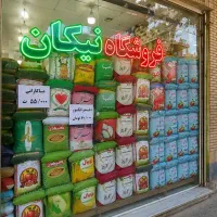 کالابرگ برای تمام افراد شارژ شد
