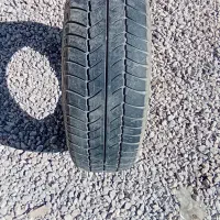 لاستیک 14|قطعات یدکی و لوازم جانبی|کیار, |دیوار