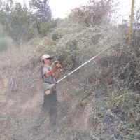 علفتراشی وتمشک تراشی بابهترین کیفیت عالی کار