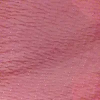 روفرشی|روفرشی|مشهد, طلاب|دیوار