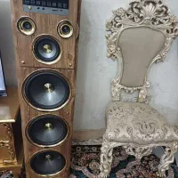 دوعدد اسپیکر میکرولب همراه میکروفن درحد