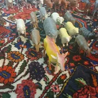 اسباب بازی حیوانات با تخفیف ویژه|اسباب‌‌بازی|شاهین‌شهر, عطار|دیوار