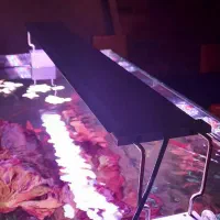 نور پلنت sebo