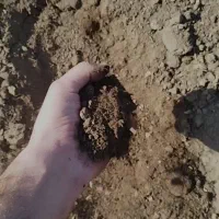 کود دامی پوسیده، چالکود، پلیت مرغی، هیومیک گرانول|خدمات باغبانی و درختکاری|شهریار, شهریار|دیوار