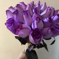 دسته گل طبیعی رز هلندی با تخفیف