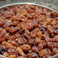 مویز & ممیز