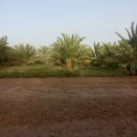 کارگر کشاورز