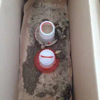 فروش جوجه بلدرچین یک هفته و قفس