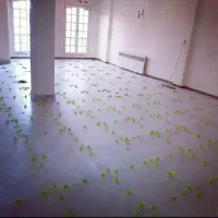 استاد بنا کاشیکار سرامیک کار نما کار|خدمات پیشه و مهارت|شیراز, زرهی|دیوار