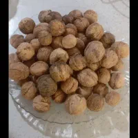 گردو چرب امسال کوه میش