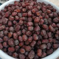 خرما مُرداسَنگ پیچیده، خاصوئی ،خنیزی و کلوته