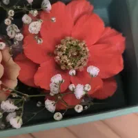 دسرهای گلی شیک برای مراسمات خاص و روز مادر، یلدا|خدمات پذیرایی، مراسم|تهران, مدائن|دیوار