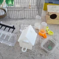 وسایل پرنده|لوازم جانبی حیوانات|فردوس (خراسان), |دیوار