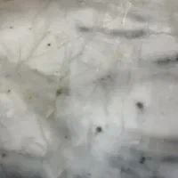 وام گیرنده باجت