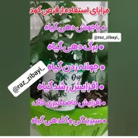 قرص کود|گل و گیاه طبیعی|سبزوار, هویزه|دیوار