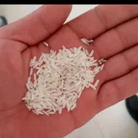 برنج هاشمی درجه ۱