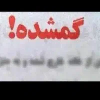 کیف جا کارتی