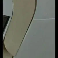 ابمیوه گیری سانی