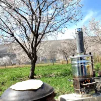 باغ در قزل داغ عجم