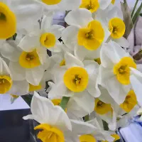 اجاره مغازه بر خیابان اصلی بلوار رحمت(باغ جنت)