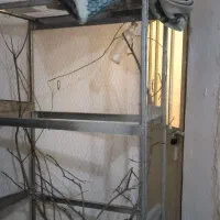 123|لوازم جانبی حیوانات|تربتحیدریه, شهرک ولیعصر|دیوار