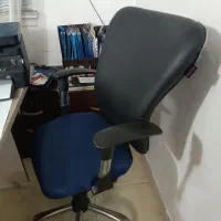 صندلی|دفتر کار|تولم شهر, |دیوار