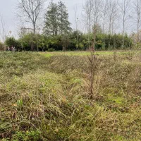 فروش زمین ۱۴۰ متری در حمیدیان با قیمت بسیار مناسب