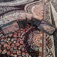 اینه بغل خانواده پژو