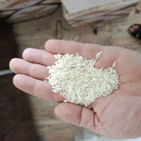 برنج هاشمی اعلا کوچصفهان به شرط پخت|خوردنی و آشامیدنی|کوچصفهان, |دیوار