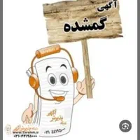مدارک گمشده بنام رامین رمضانی