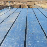 سیمانکاری و ایزوگام|خدمات پیشه و مهارت|شاهرود, |دیوار