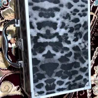 جعبه ارایشی عروس|آرایشی، بهداشتی، درمانی|سربیشه, |دیوار