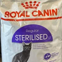 غذای رویال کنین استرلایز