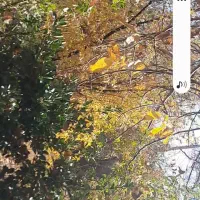 منزل ویلایی فروشی رادکان|فروش خانه و ویلا|رادکان, |دیوار