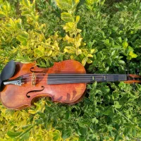 ویالن دست‌ساز برند Stagg|ویولن|نشتارود, |دیوار