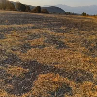 ملک آبی|فروش زمین و ملک کلنگی|سیلوانه, |دیوار