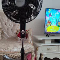 پنکه